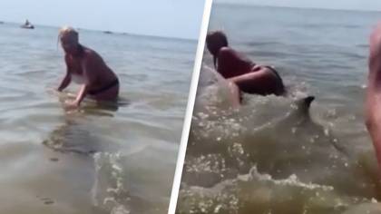 Woman Being Investigated By Police After She Climbed On A Dolphin