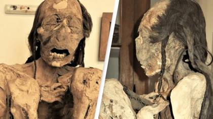New autopsy reveals brutal murder of South American mummies