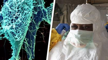 Ebola outbreak detected in Uganda after 'rare' strain found in patient
