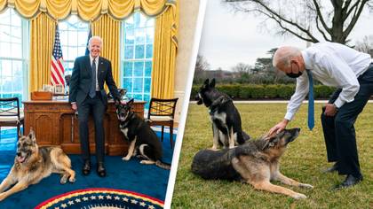Joe Biden's Dog Attacked People For Eight Days Straight And Left Secret Service Member 'Severely' Injured