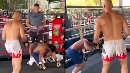 Boxers roast Andrew Tate for his 'fake' sparring video