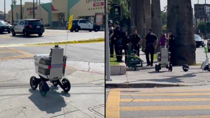 Food delivery robot barges through crime scene, has no time for our human nonsense