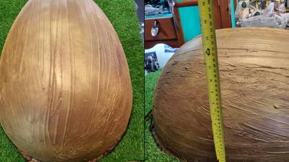 Dad Raffles Off Easter Egg Weighing Almost Three Stone But It Comes With Serious Warning