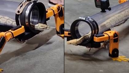 Bloke builds a cyborg machine to 'give snakes their legs back'