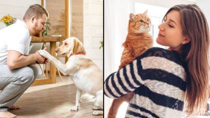 Landlords Will Be Forced To Allow Tenants To Have Pets