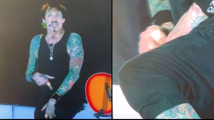 Tommy Lee ‘gets his weiner out’ on stage but it isn’t what you think