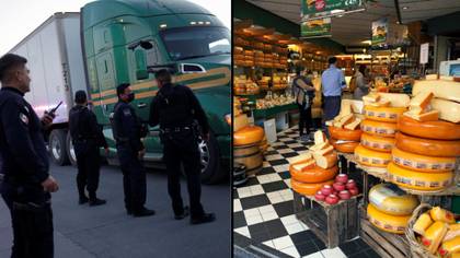 You've got to brie kidding me: 60 illegal wheels of cheese seized in border bust