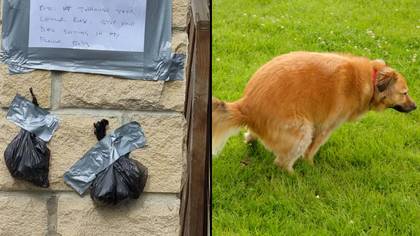 Furious neighbour tapes dog poo to wall in threat to owner who kept letting it s**t in their garden