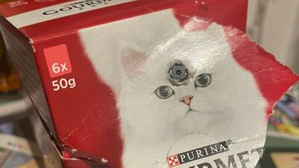 Man Finds 'Hidden Spy Camera' Attached To A Box Of Cat Food