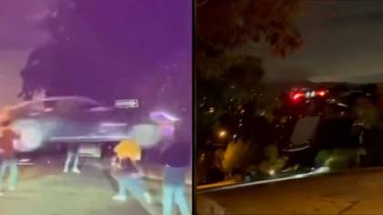 Police Offer Reward For Information On Driver Who Destroyed Tesla Car In Outrageous Stunt