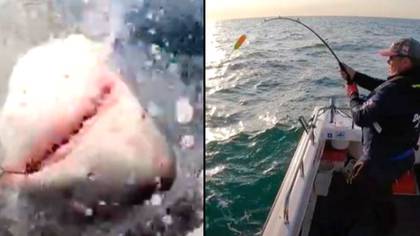 21石头野兽鲨鱼与英国渔夫战斗，并抓住他的杆