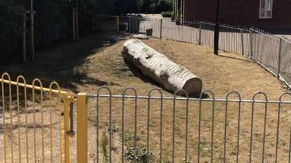 Brits call out 'saddest' children's play park where kids can play with a log and nothing else