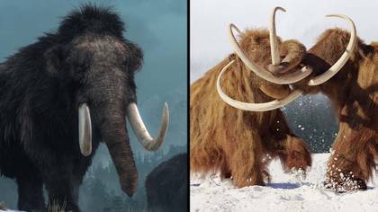 Company Is Planning 'Real Life Jurassic Park' With Woolly Mammoths Brought Back To Life
