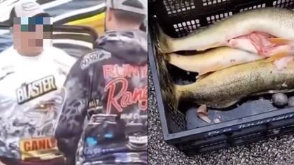 Fishing tournament hit by huge scandal after entrants allegedly stuffed catch with weights