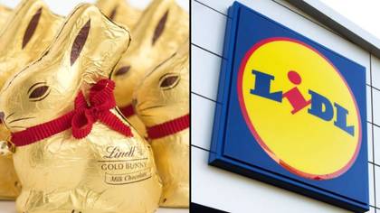 Lidl forced to melt chocolate bunnies because they're 'too similar' to Lindt