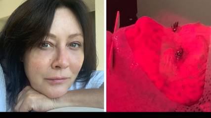 Charmed actor Shannen Doherty reveals cancer has now spread to her brain