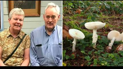 Sole survivor of poisonous mushroom lunch that killed three finally allowed home