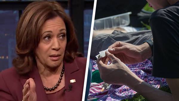 US Vice President Kamala Harris says ‘no one should go to jail for smoking weed’