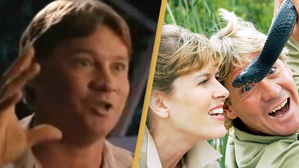 Steve Irwin describing moment he met wife Terri while animal was 'trying to kill him' has people in tears