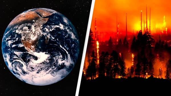 Supercomputer predicts Earth could be facing mass extinction event by 2100
