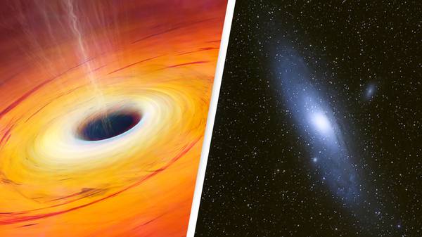 Scientists have discovered how you could survive a black hole