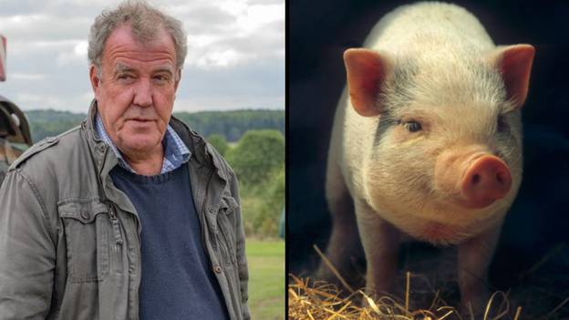 杰里米·克拉克森（Jeremy Clarkson）声称温度没什么大不了的之后，他的猪在热浪中被杀
