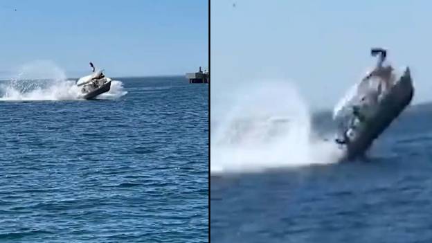 Tourists Flung Into Air After Boat Hits A Whale