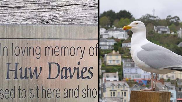Rude Plaque For Man Who Hated Seagulls Removed By Officials