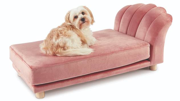 Aldi Launches Luxury Scalloped Pet Beds