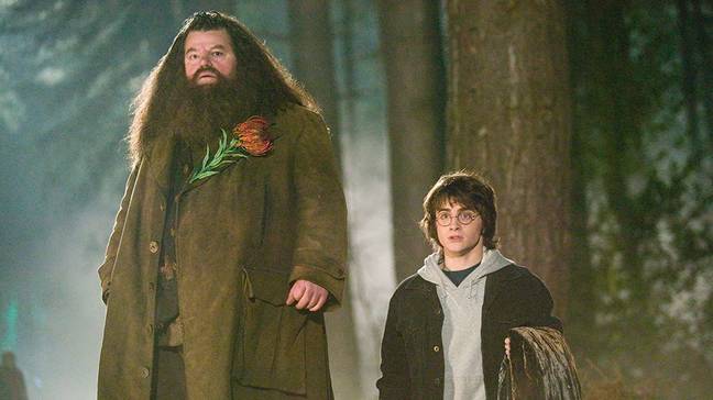 There's more to Hagrid than may appear (Credit: Warner Bros)