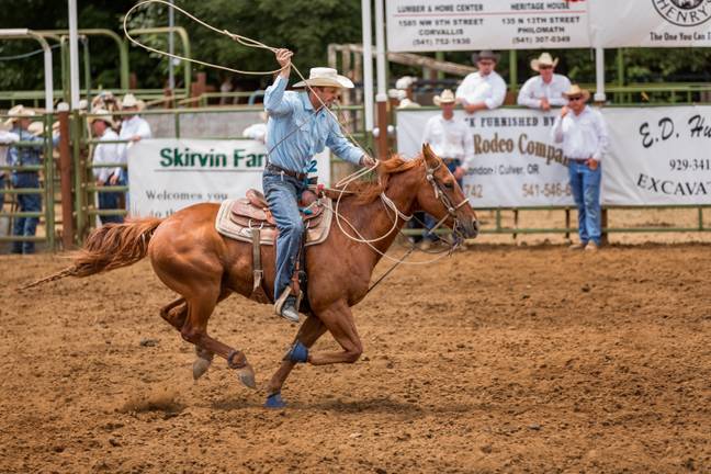 Animal rights activists have criticised rodeos for many years. (Credit: Alamy)