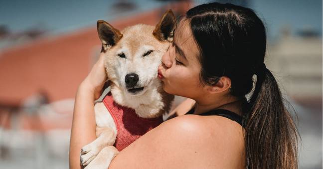 Pet owners should avoid kissing their dog on the mouth. (Credit: Pexels)