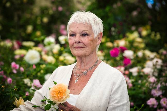 Oscar-winning actor Judi Dench didn’t hold back when criticising Netflix’s The Crown in a recent letter. Credit: David Betteridge / Alamy Stock Photo