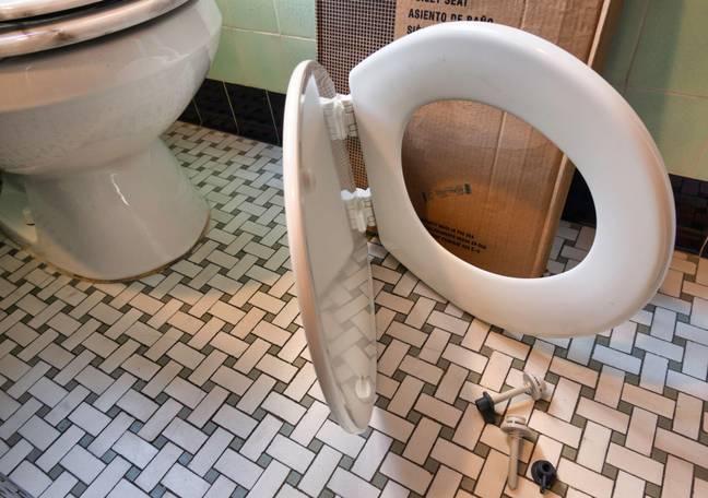 Another person got a toilet seat (Credit: alamy)