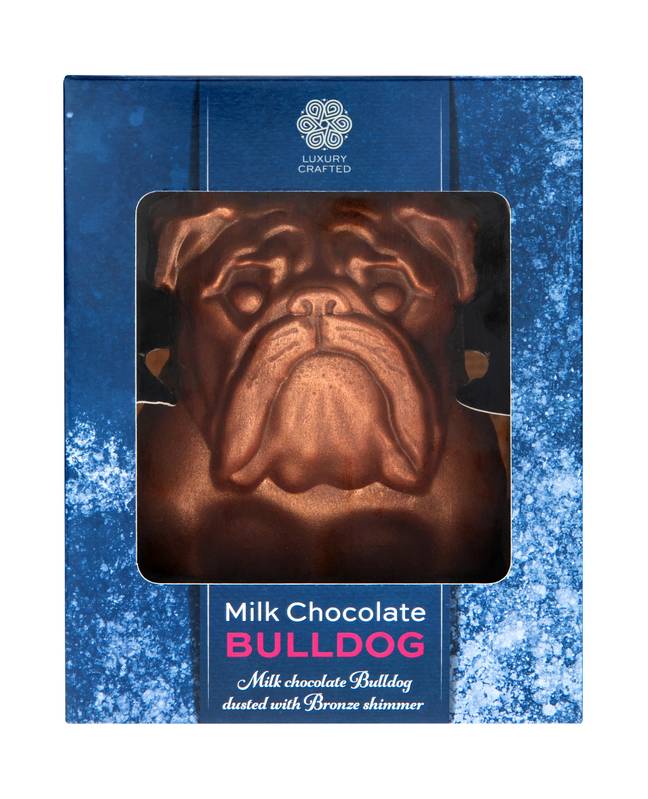 This chocolate cutie is only £3! (Credit: Poundland)