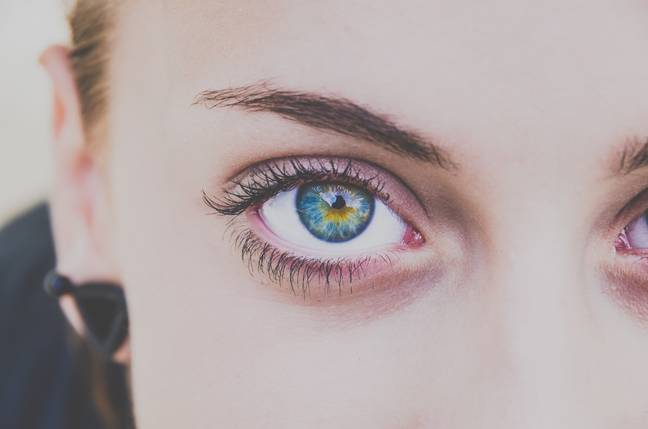 Eyelashes protect our eyes from airborne dirt and debris (Credit: Unsplash)