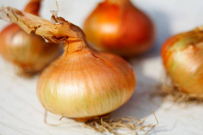 Could onions work wonders on our hair? Credit: les polders/Alamy Stock Photo