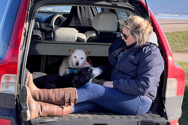 Ella was joined by other dogs during her final walk. Credit: SWNS