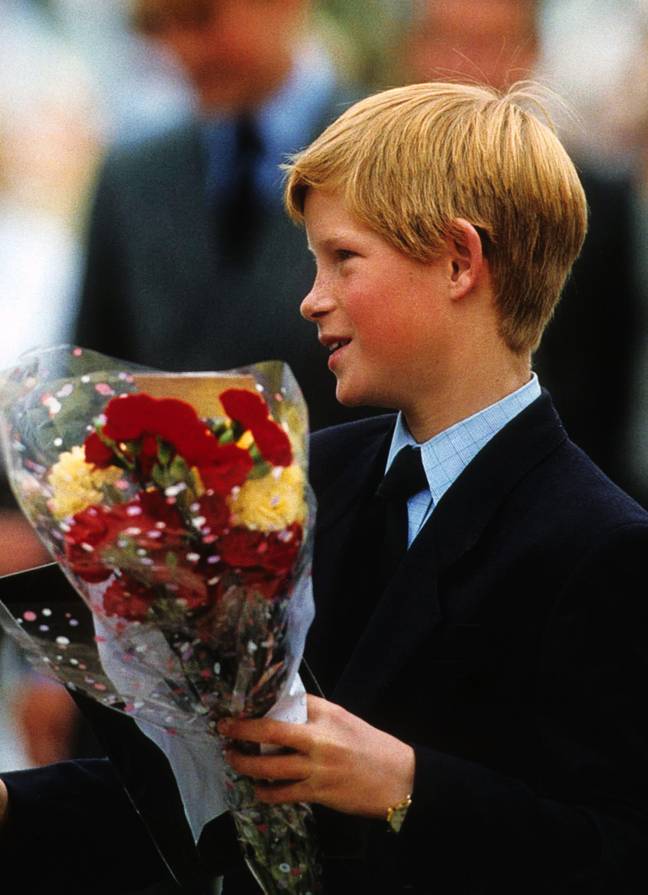 Harry was just 12 when Diana passed away. Credit: Anwar Hussein/Alamy Stock Photo
