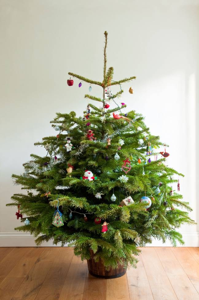 One man came up with an easy way to set up his tree.  Credit: foto-zone/Alamy Stock photo