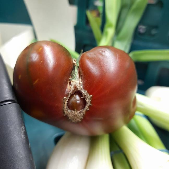 A tomato has been deemed as ‘too rude’ to be on display in an M&amp;S store (Triangle News/Maxine Baker).