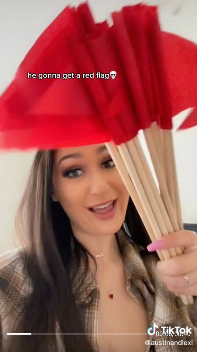 The woman, who goes by @austinandlexi on TikTok, took to the social media platform to poke fun at her partner’s warning signs (TikTok @austinandlexi).
