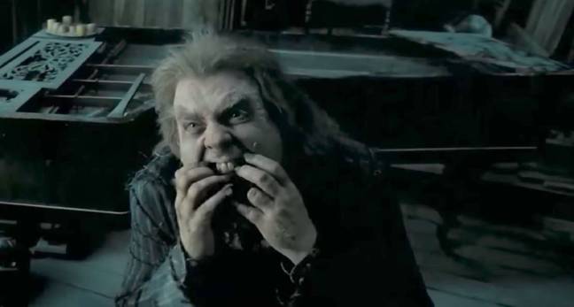 Pettigrew betrayed the Potters (Credit: Warner Bros)