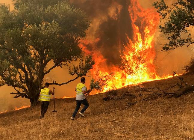 Djamel Ben Ismail had travelled to help fight the wildfires. Credit: REUTERS / Alamy Stock Photo