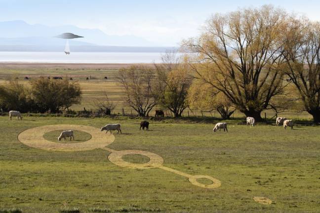 Credit: Dale O'Dell / Alamy Stock Photo