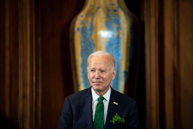 Biden later said Ireland and the USA share a 'common goal'. Credit: Alamy
