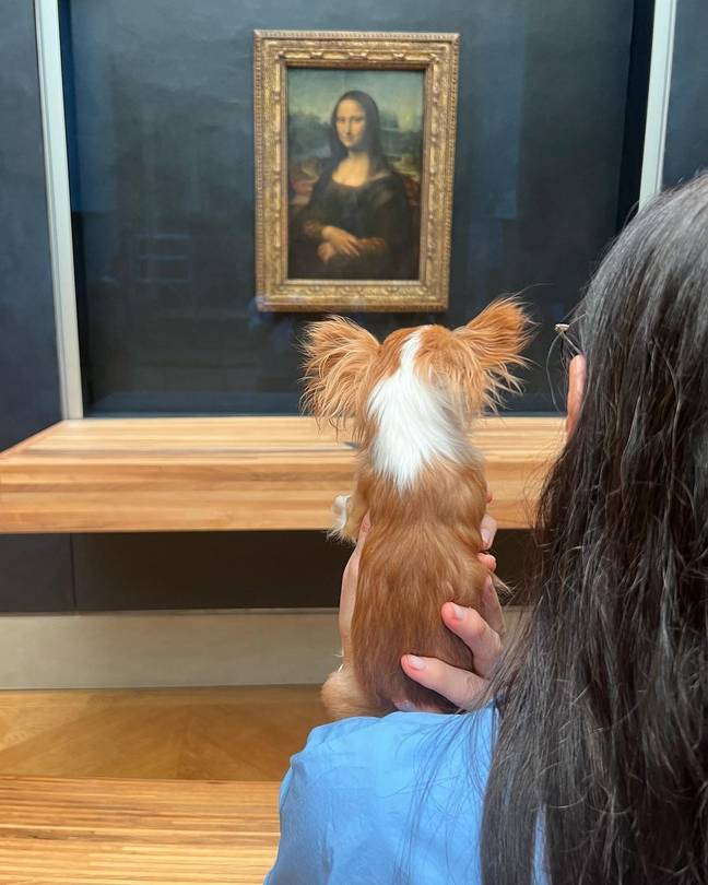 Demi Moore's dog taking in some masterpieces. Credit: @demimoore/Instagram