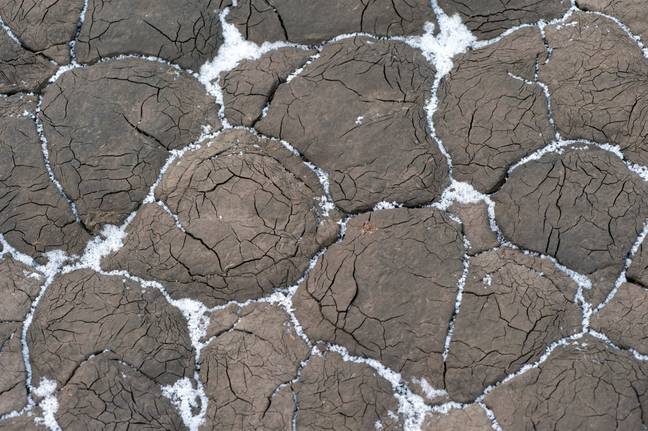 There's all sorts beneath the permafrost. Credit: imageBROKER/Alamy