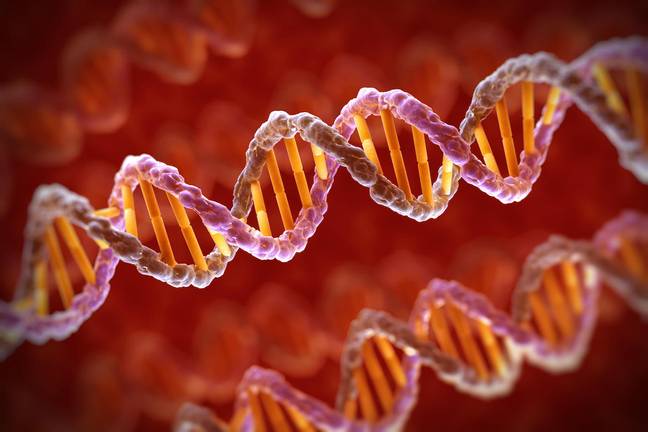 Scientists discover oldest known DNA showing what life was like two ...