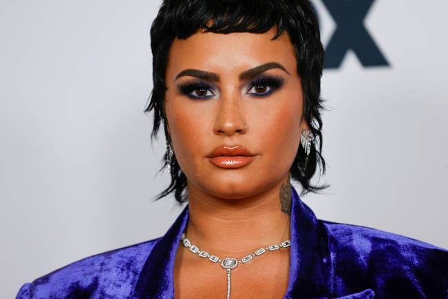 Lovato was cast on Disney channel in her teens. Credit: REUTERS / Alamy Stock Photo